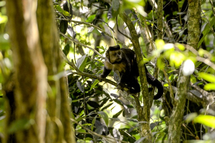© Tomaz Silva/Agência Brasil