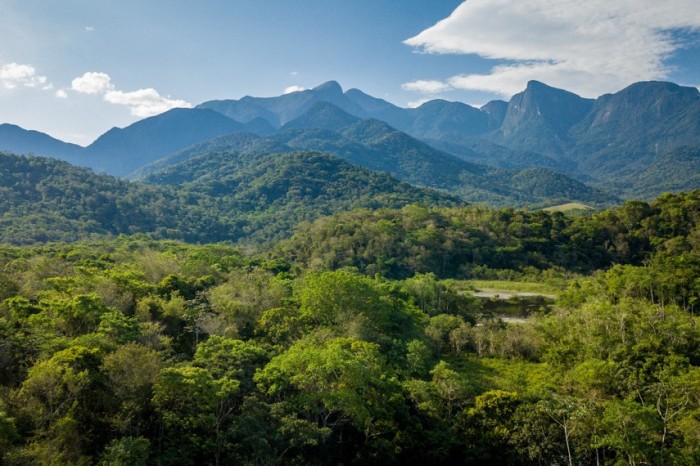 Ao sancionar o Projeto de Lei de Conversão (PLV) 6/2023, oriundo da MP 1.150/2022, o presidente Lula vetou os trechos que flexibilizariam regras de proteção da Lei da Mata Atlântica (Lei 11.428, de 2006)