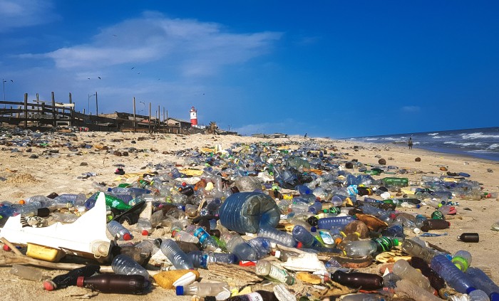 © Muntaka Chasant/Wikimedia