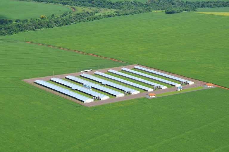 Dependendo do faturamento, cooperativas serão equiparadas às empresas - (Foto: Divulgação CVale/Agência de Notícias do Paraná)