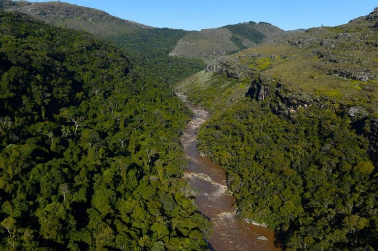 Iniciativa faz parte das ações pelo Dia Mundial do Meio Ambiente, celebrado em 5 de junho - (Foto: Denis Ferreira Netto/Agência de Notícias do Paraná)