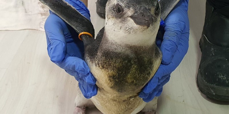 © PMP-BS/Agência Petrobras