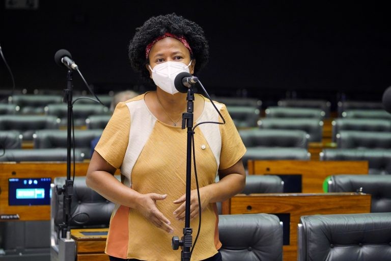 Deputada Sílvia Cristina, relatora da comissão especial - (Foto: Najara Araujo/Câmara dos Deputados)