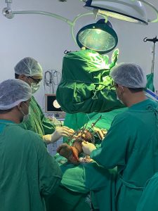 Foram realizadas 21 cirurgias ortopédicas