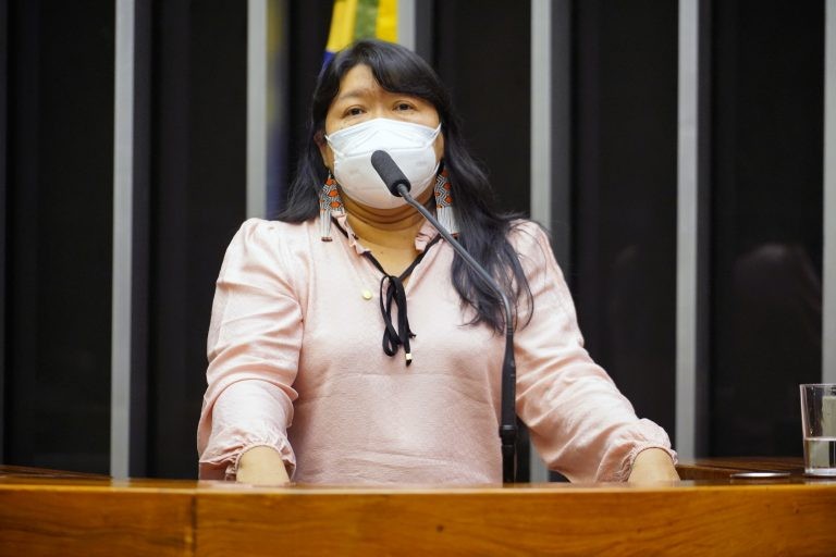Joenia Wapichana: parecer pela aprovação com mudanças - (Foto: Pablo Valadares/Câmara dos Deputados)