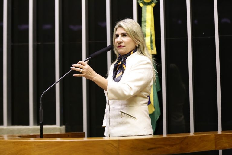 Edna Henrique quer garantir recursos que atendam aos deficientes visuais - (Foto: Arquivo/Câmara dos Deputados)