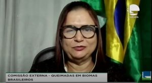 Rosa Neide quer acelerar a votação da política de manejo do fogo - (Foto: Reprodução/Youtube)