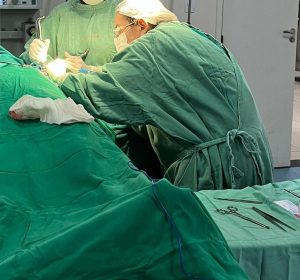 Das 32 cirurgias realizadas, 25 foram eletivas e sete de urgência