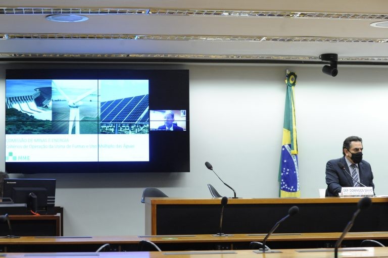 Audiência virtual da comissão, presidida por Domingos Sávio - (Foto: Gustavo Sales/Câmara dos Deputados)