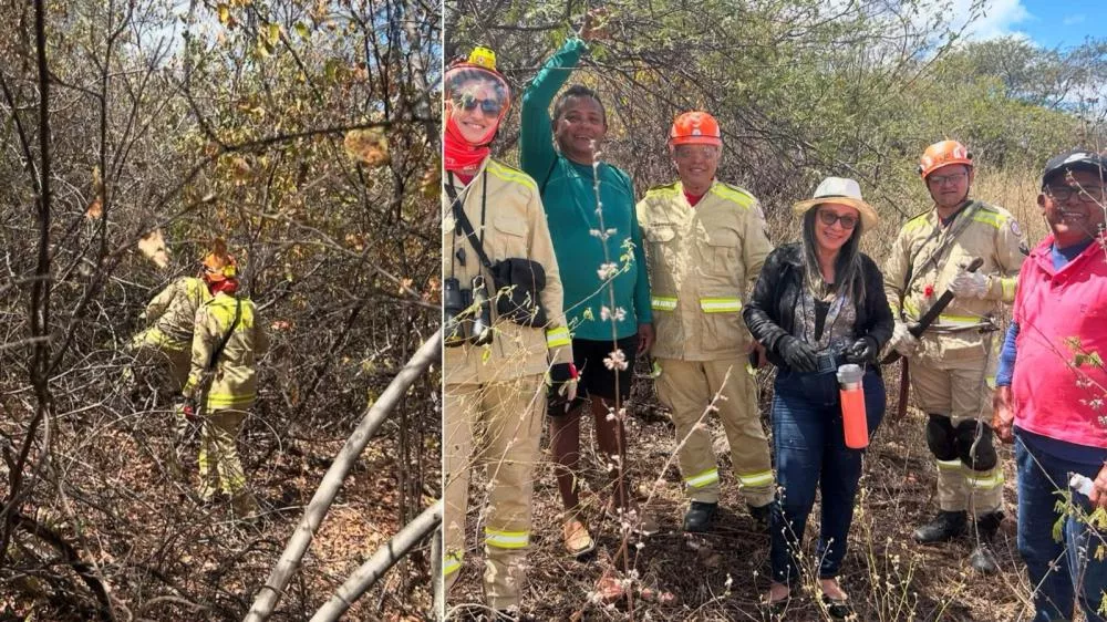 Foto Divulgação/4ºBBM