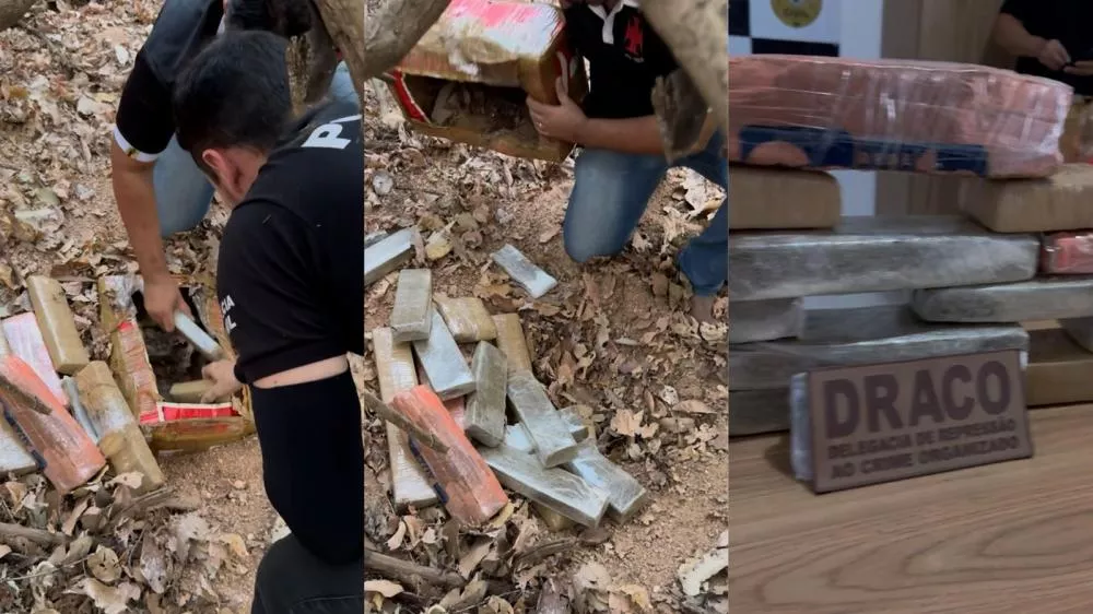 Foto Divulgação/DRACO