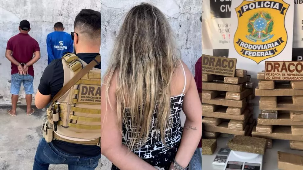 Foto Divulgação/DRACO