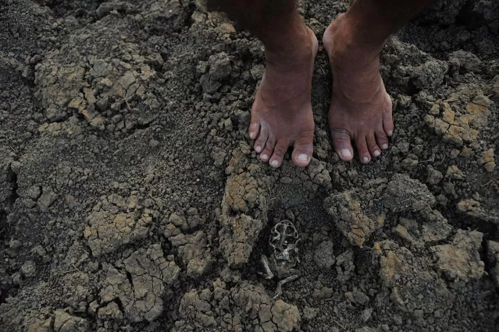 Seca atinge interior da Paraíba (Foto: Fernando Frazão/Agência Brasil)