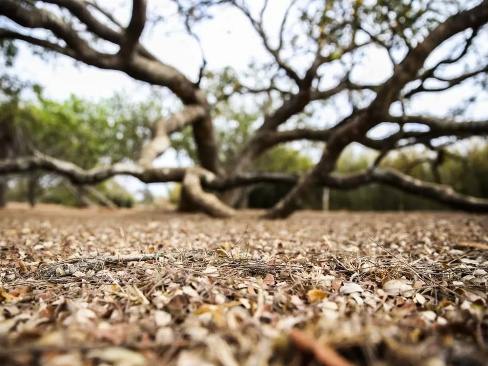 Foto: José Cruz/Agência Brasil