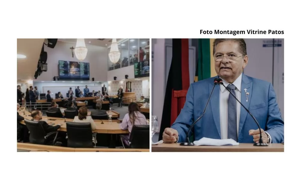 Foto: Montagem/Vitrine Patos