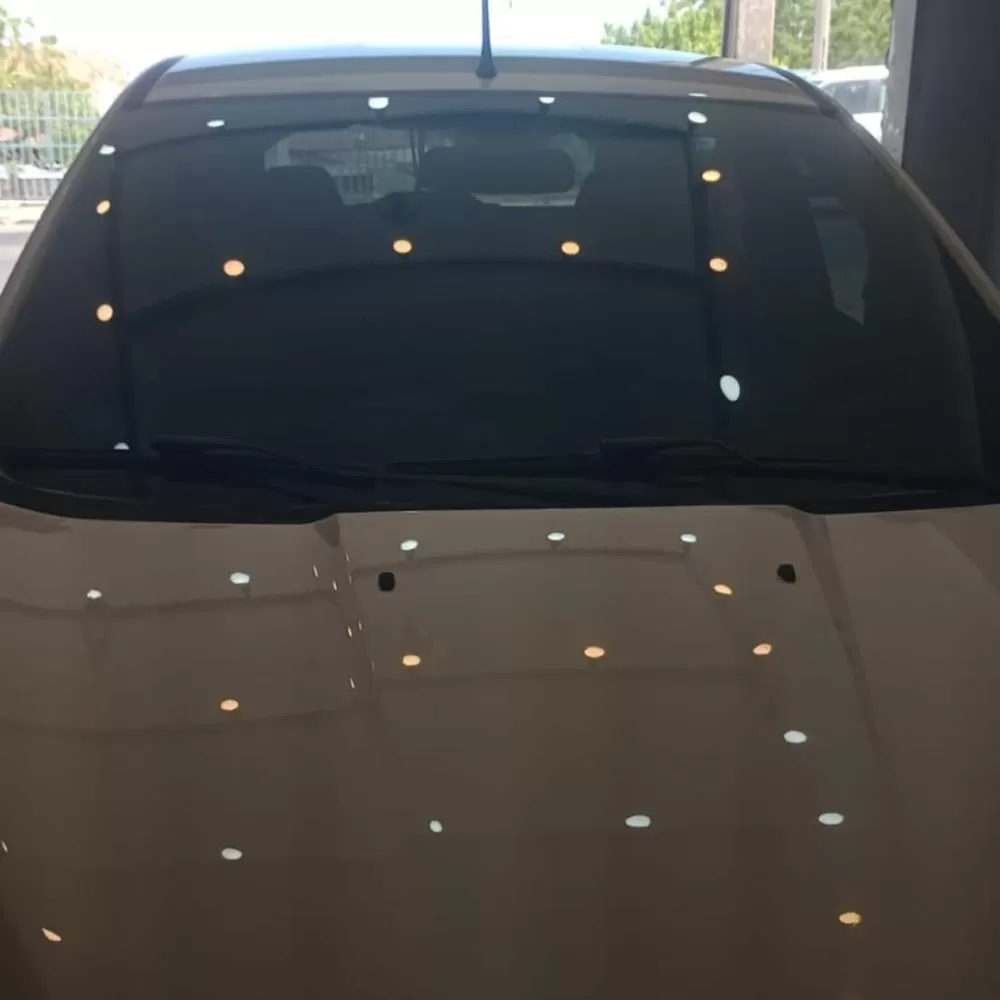 Fotos: Vitrine Patos