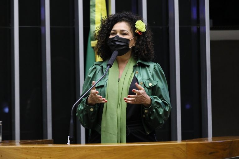 Perpétua Almeida: as rádios comunitárias não têm caráter comercial e necessitam de apoio - (Foto: Michel Jesus/Câmara dos Deputados)