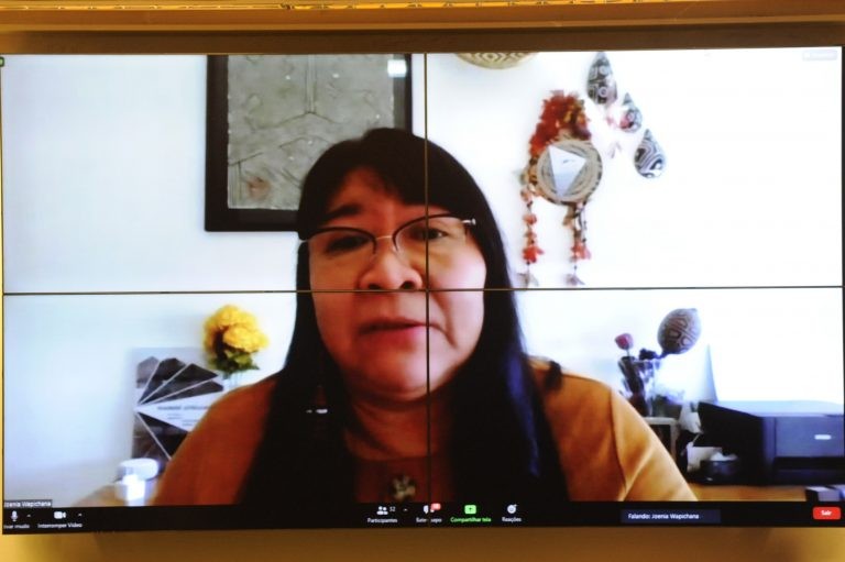 Joenia: povos indígenas estão entre os mais atingidos pelos retrocessos - (Foto: Cleia Viana/Câmara dos Deputados)