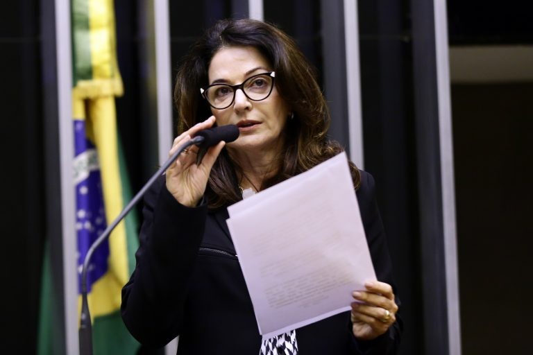 Norma Ayub: o déficit habitacional no Brasil ainda é um desafio - (Foto: Michel Jesus/Câmara dos Deputados)