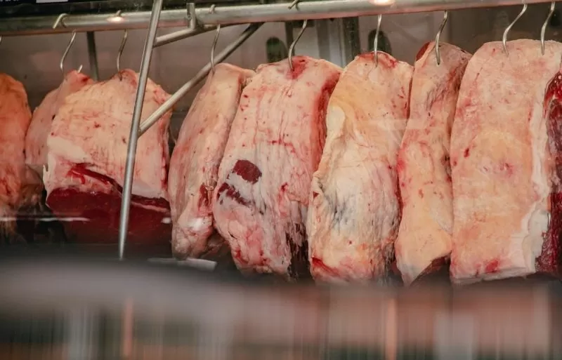 Foto: Divulgação/Internet