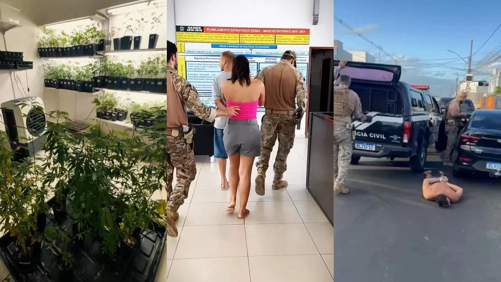 Foto: Divulgação/DRACO