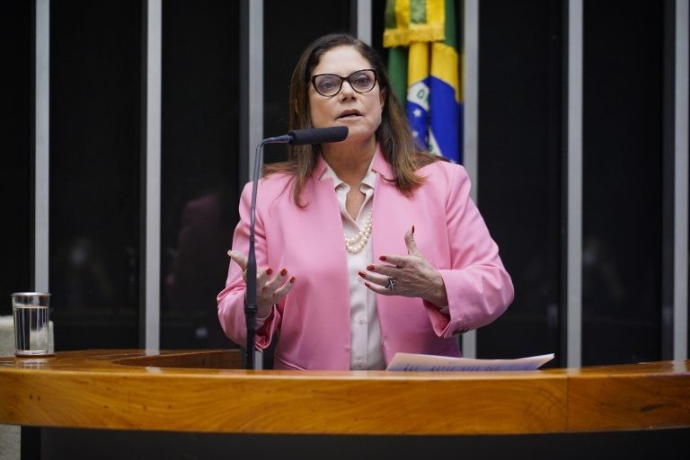 Soraya Santos: a proposta vai efetivar um direito assegurado na Constituição - (Foto: Pablo Valadares/Câmara dos Deputados)
