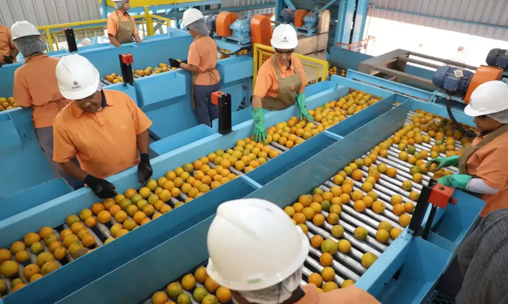  Ari Dias/Governo do Paraná