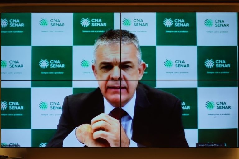 Deputado Domingos Sávio, relator da proposta na Comissão de Agricultura - (Foto: Pablo Valadares/Câmara dos Deputados)