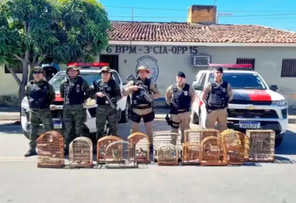 Foto: Divulgação-PM