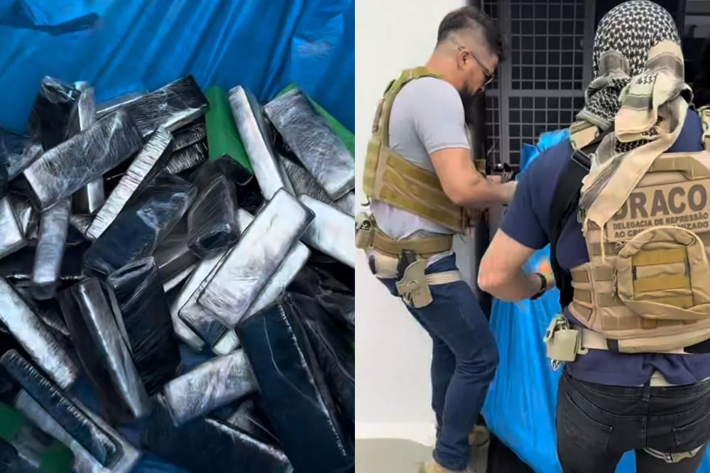 Foto Reprodução: DRACO