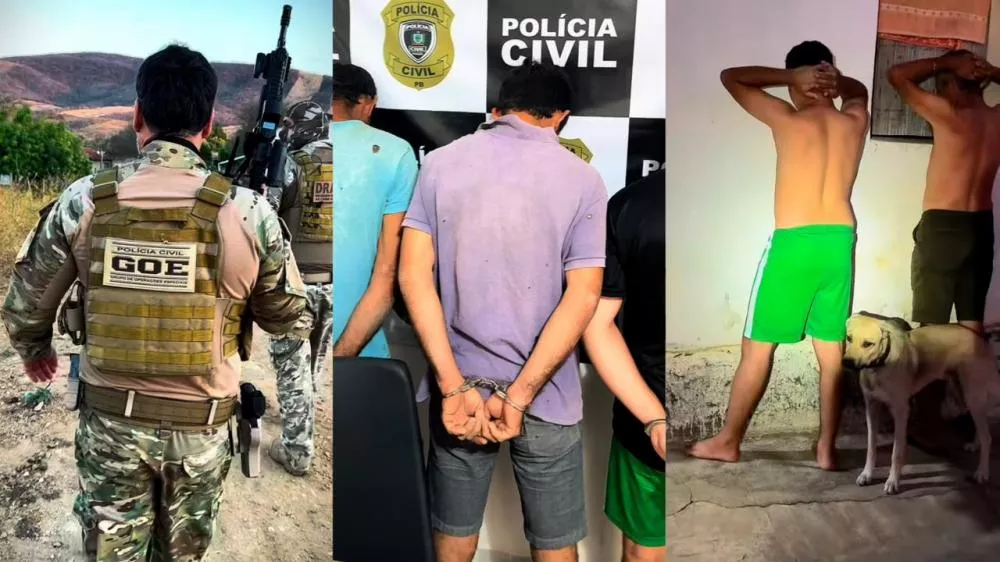 Fotos: Divulgação DRACO