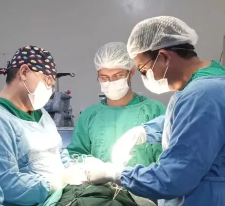 Das 44 cirurgias realizadas, 11 foram de urgência