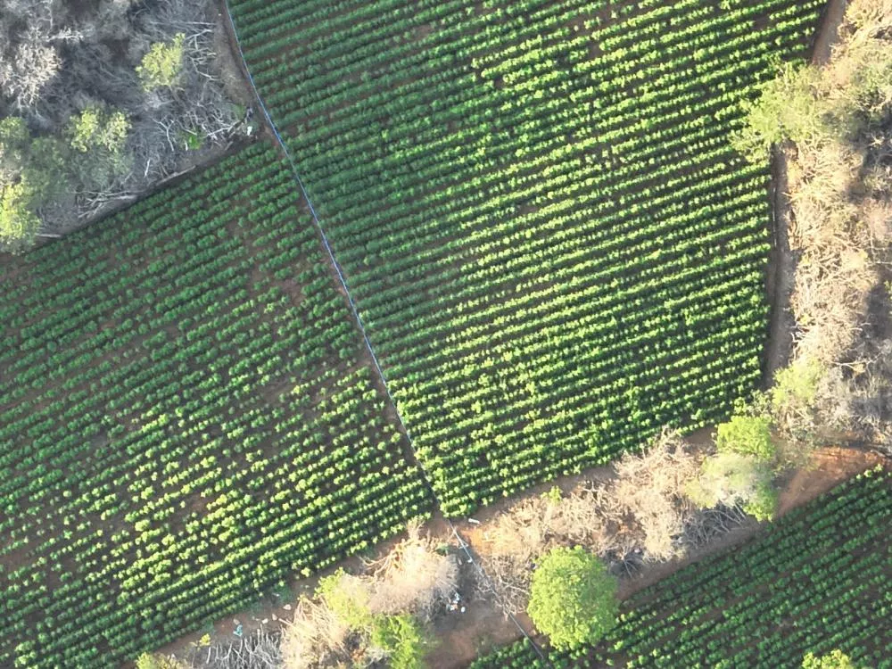 Fotos: Divulgação/PF