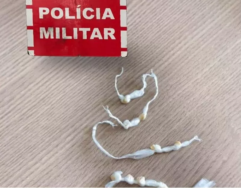 Foto: Divulgação PM