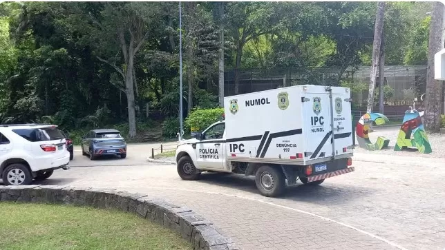 Homem é morto por leoa após invadir jaula em zoológico de João Pessoa — Foto: Silvia Torres/TV Cabo Branco