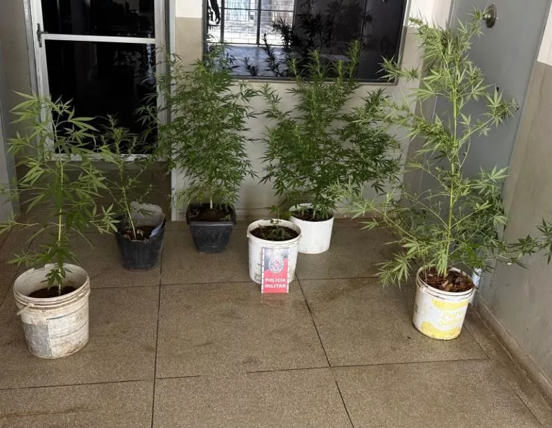 Foto: Divulgação-PM