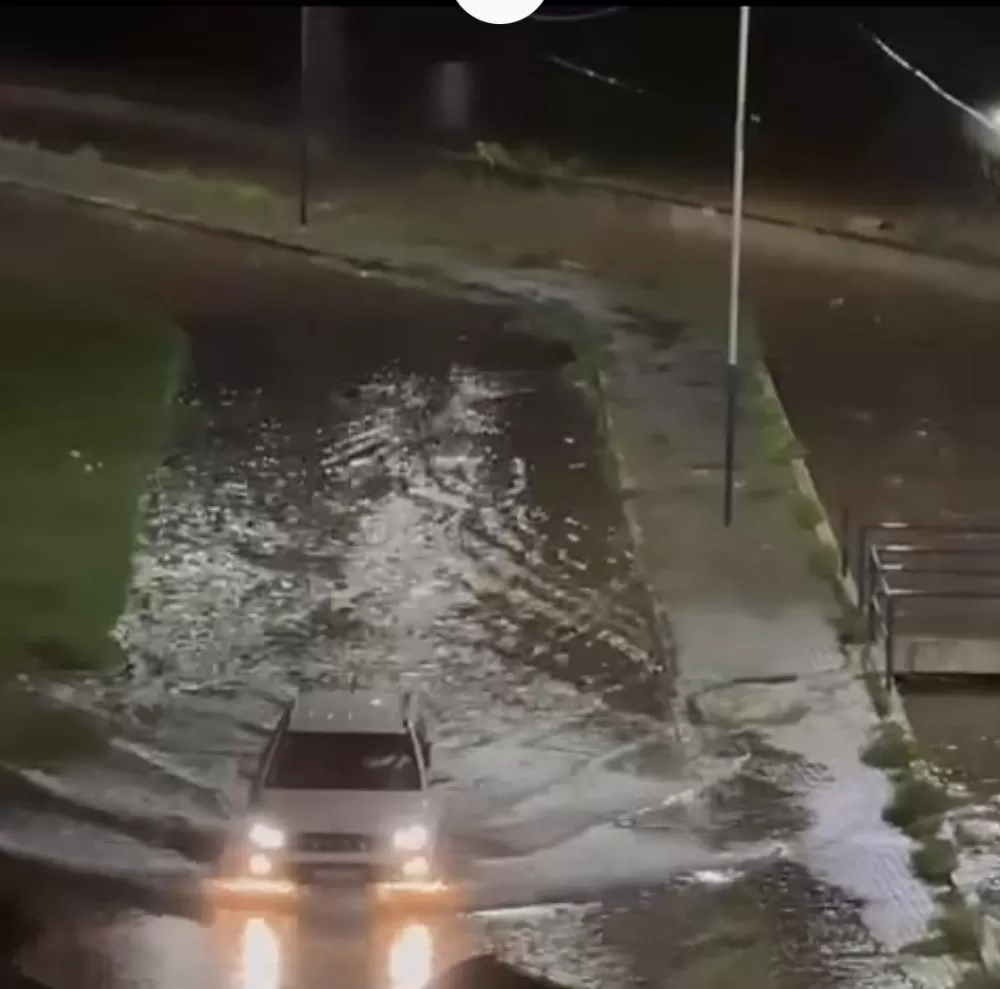 Foto Redes Sociais: Canal do Frango