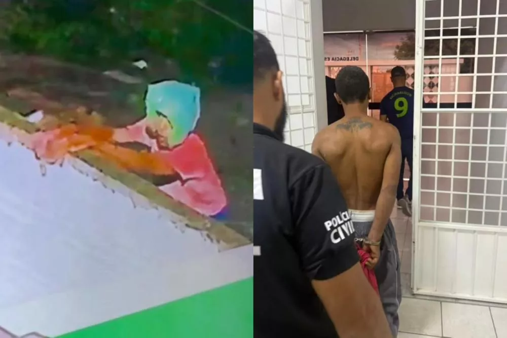 Foto: Divulgação/Polícia Civil