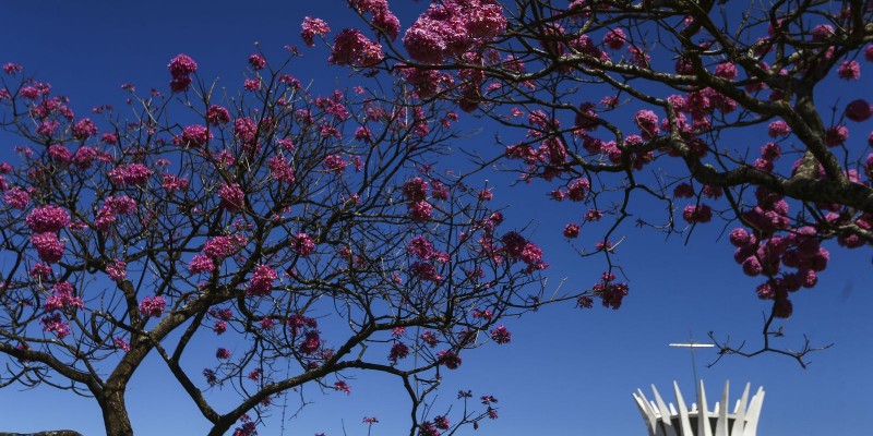 © Marcelo Camargo/Agência Brasil