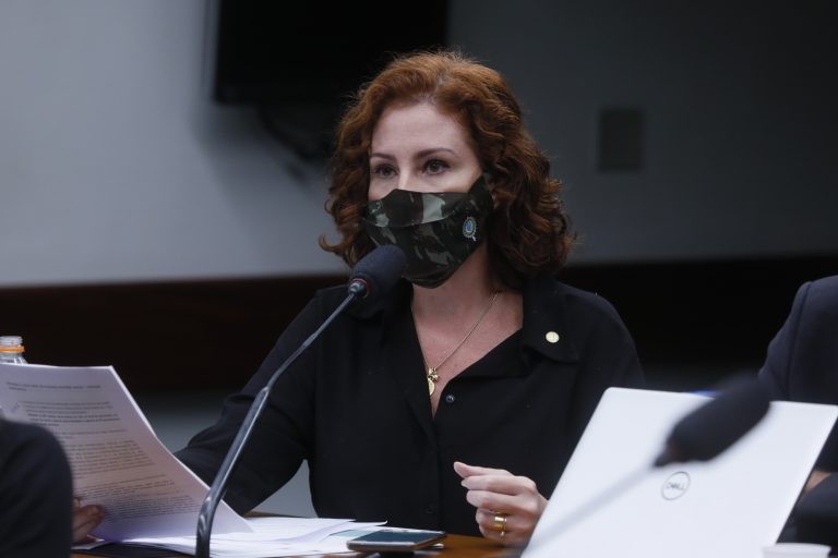 Carla Zambelli: proposta incentiva agricultura familiar - (Foto: Cleia Viana/Câmara dos Deputados)