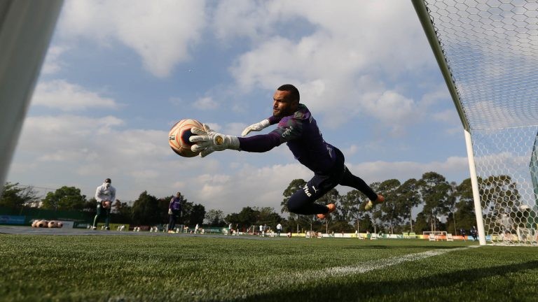 Atualmente, direitos de transmissão são divididos entre o dono da casa e o adversário - (Foto: Cesar Greco/Palmeiras)