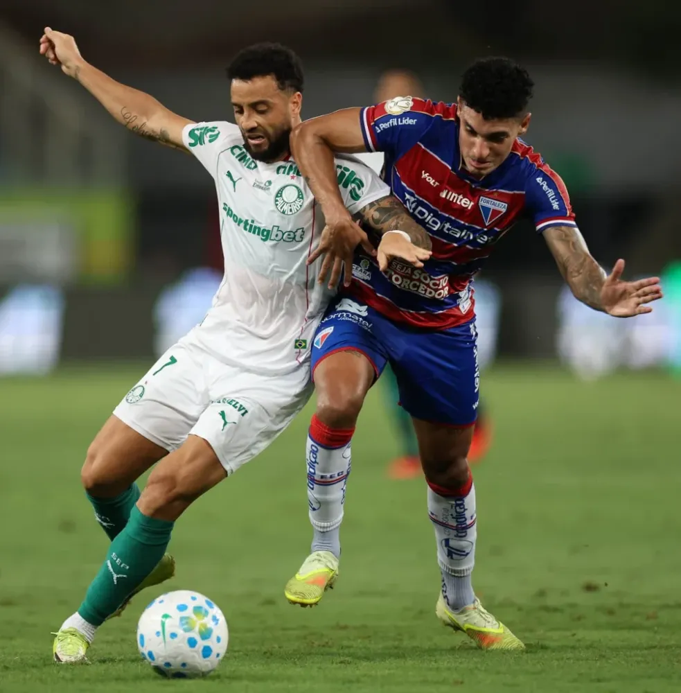 Foto Cesar Greco/Palmeiras