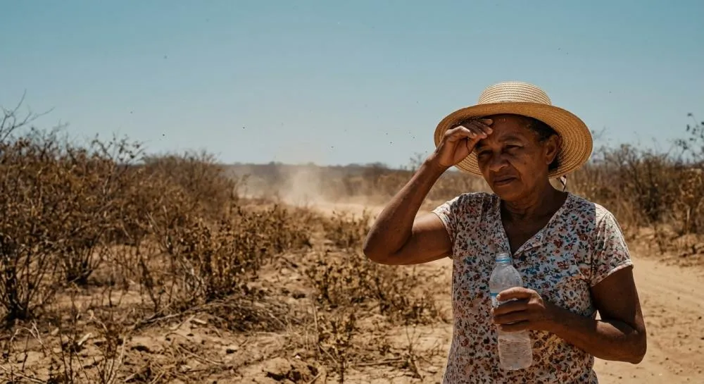 Sol forte, vegetação seca e ar extremamente seco: o cenário do Sertão paraibano sob alerta de emergência meteorológica do Inmet.