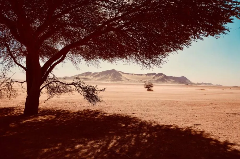 Inmet emite alerta de baixa umidade para 114 cidades da Paraíba nesta sexta-feira