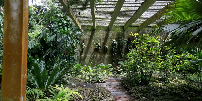 © Tânia Rêgo/Agência Brasil