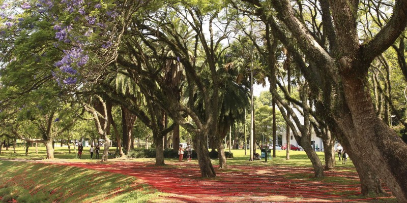 © Rovena Rosa/Agência Brasil