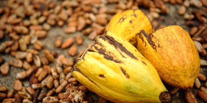 © Agência Brasil/Tomaz Silva