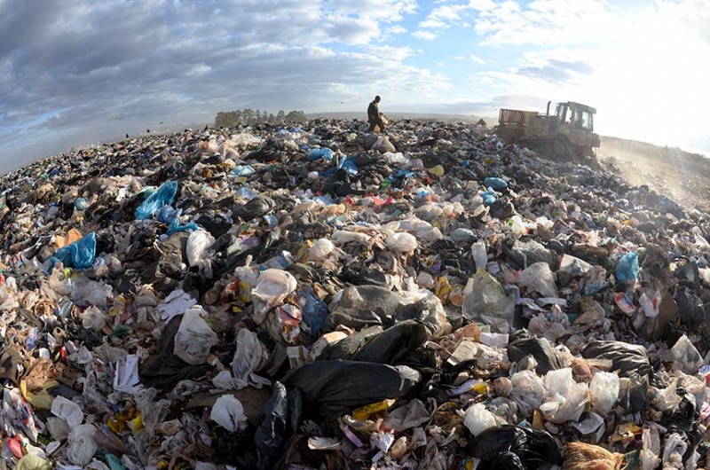 O PL 2.920/2019, de Vanderlan Cardoso (PSD-GO), trata da distribuição de verbas do Fundo Nacional de Meio Ambiente; se aprovado pela CAE, o texto, analisado na forma de substitutivo, vai à Câmara - Leopoldo Silva/Agência Senado