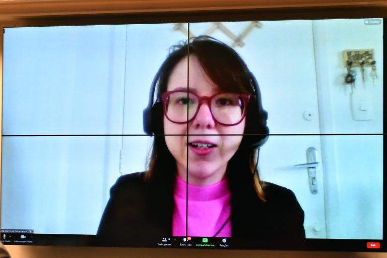 Ana Carolina Navarrete: consumidor não sabe o que está contratando - (Foto: Reila Maria/Câmara dos Deputados)