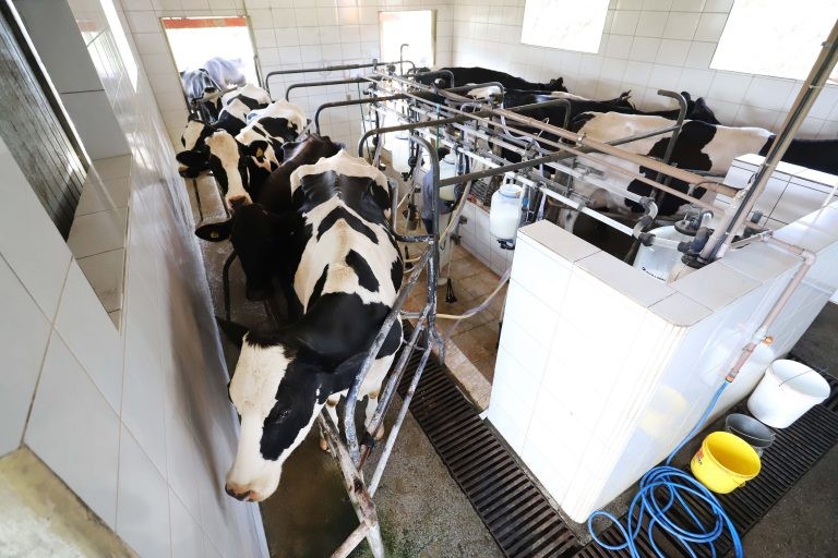 Foto: Arnaldo Alves/Agência de Notícias do Paraná